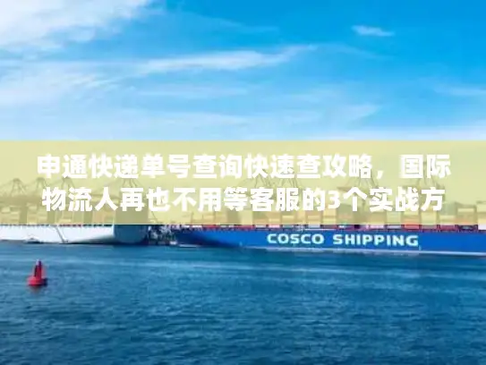 申通快递单号查询快速查攻略，国际物流人再也不用等客服的3个实战方法