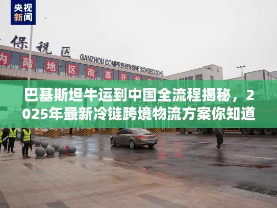 巴基斯坦牛运到中国全流程揭秘，2025年最新冷链跨境物流方案你知道吗？