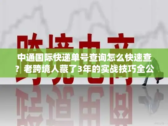 中通国际快递单号查询怎么快速查？老跨境人藏了3年的实战技巧全公开