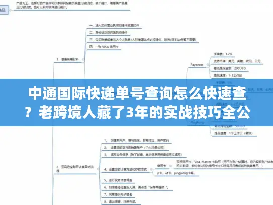 中通国际快递单号查询怎么快速查？老跨境人藏了3年的实战技巧全公开