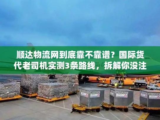 顺达物流网到底靠不靠谱？国际货代老司机实测3条路线，拆解你没注意的隐藏坑