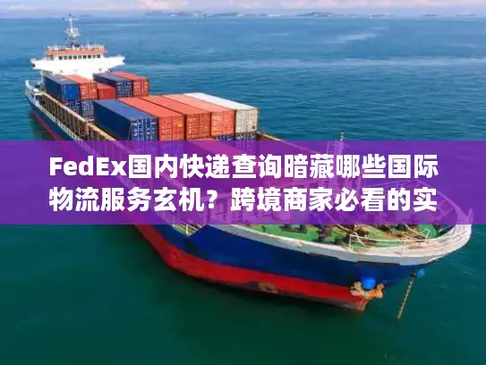 FedEx国内快递查询暗藏哪些国际物流服务玄机?跨境商家必看的实战拆解 FedEx国内快递查询暗藏哪些国际物流服务玄机?跨境商家必看的实战拆解