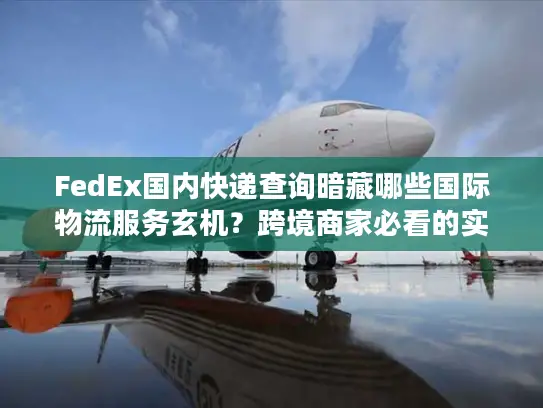 FedEx国内快递查询暗藏哪些国际物流服务玄机?跨境商家必看的实战拆解 FedEx国内快递查询暗藏哪些国际物流服务玄机?跨境商家必看的实战拆解