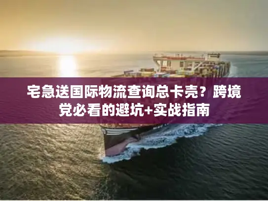 宅急送国际物流查询总卡壳？跨境党必看的避坑+实战指南
