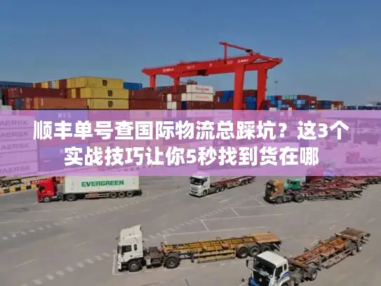 顺丰单号查国际物流总踩坑？这3个实战技巧让你5秒找到货在哪