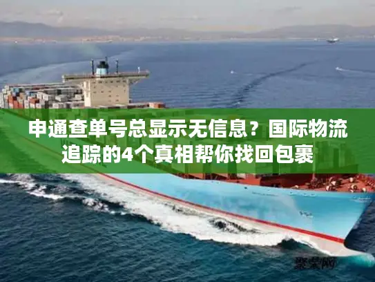 申通查单号总显示无信息？国际物流追踪的4个真相帮你找回包裹