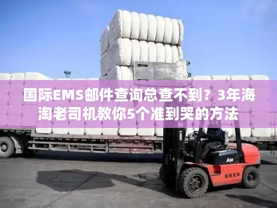 国际EMS邮件查询总查不到？3年海淘老司机教你5个准到哭的方法
