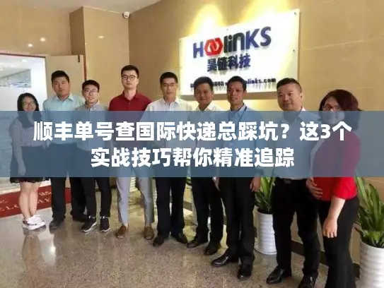 顺丰单号查国际快递总踩坑？这3个实战技巧帮你精准追踪