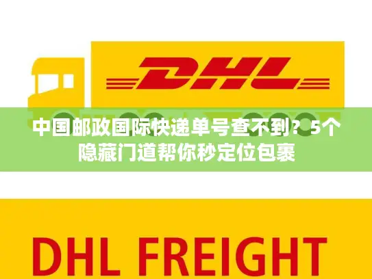 中国邮政国际快递单号查不到？5个隐藏门道帮你秒定位包裹