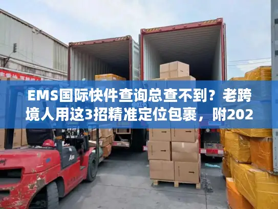 EMS国际快件查询总查不到？老跨境人用这3招精准定位包裹，附2025最新避坑指南