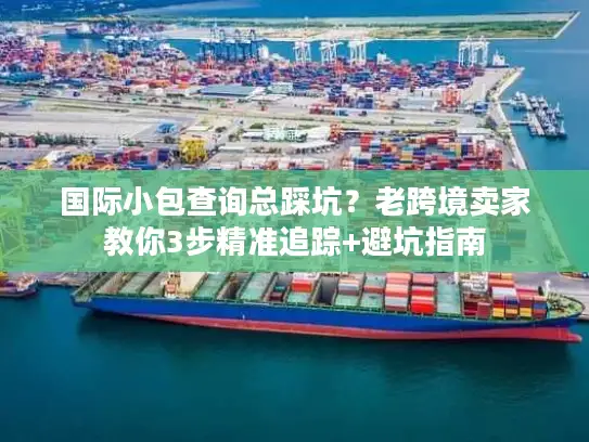 国际小包查询总踩坑？老跨境卖家教你3步精准追踪+避坑指南