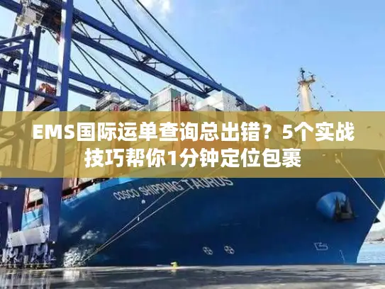 EMS国际运单查询总出错？5个实战技巧帮你1分钟定位包裹