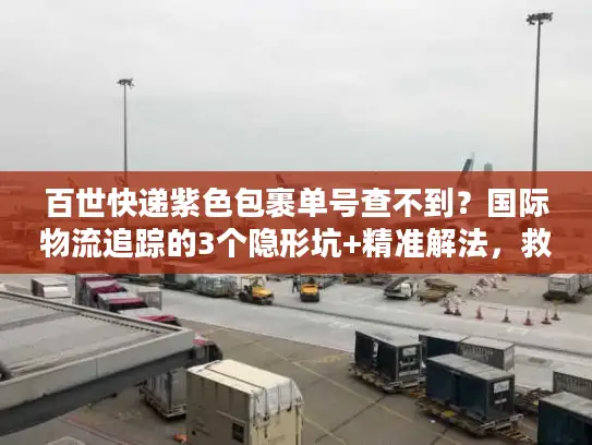 百世快递紫色包裹单号查不到？国际物流追踪的3个隐形坑+精准解法，救了我的跨境订单
