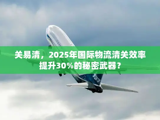 关易清，2025年国际物流清关效率提升30%的秘密武器？