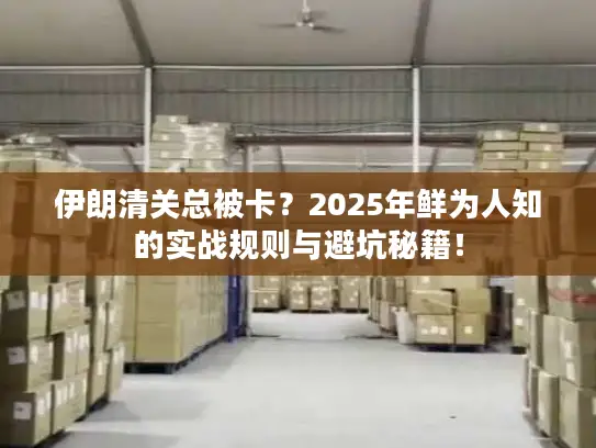 伊朗清关总被卡？2025年鲜为人知的实战规则与避坑秘籍！
