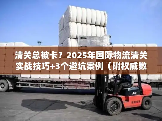 清关总被卡？2025年国际物流清关实战技巧+3个避坑案例（附权威数据）