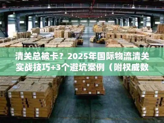 清关总被卡？2025年国际物流清关实战技巧+3个避坑案例（附权威数据）