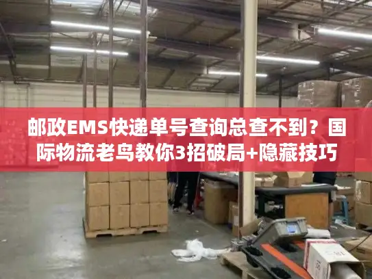 邮政EMS快递单号查询总查不到？国际物流老鸟教你3招破局+隐藏技巧