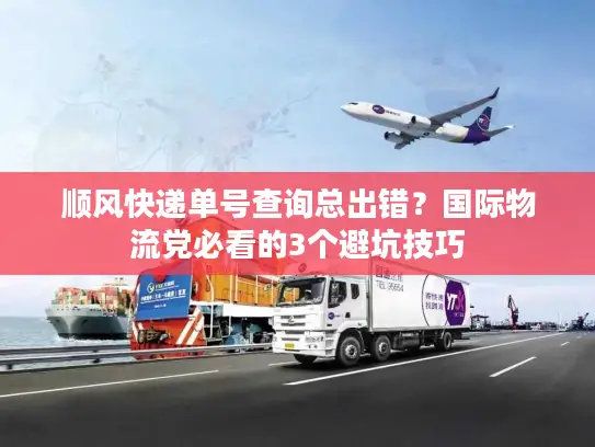 顺风快递单号查询总出错？国际物流党必看的3个避坑技巧
