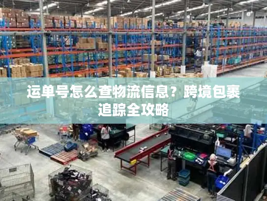 运单号怎么查物流信息？跨境包裹追踪全攻略