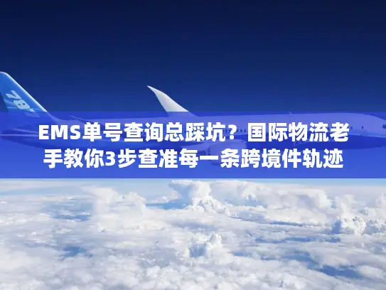 EMS单号查询总踩坑？国际物流老手教你3步查准每一条跨境件轨迹