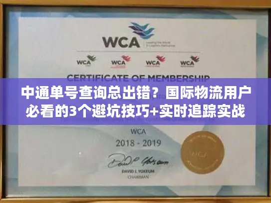 中通单号查询总出错？国际物流用户必看的3个避坑技巧+实时追踪实战