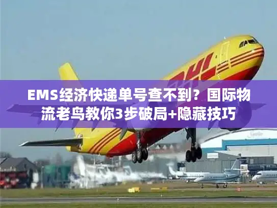 EMS经济快递单号查不到？国际物流老鸟教你3步破局+隐藏技巧