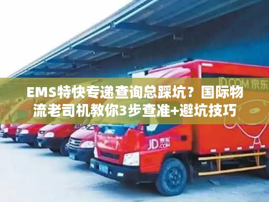 EMS特快专递查询总踩坑？国际物流老司机教你3步查准+避坑技巧