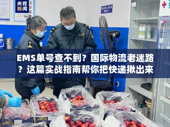EMS单号查不到？国际物流老迷路？这篇实战指南帮你把快递揪出来