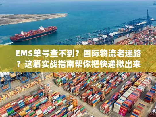 EMS单号查不到？国际物流老迷路？这篇实战指南帮你把快递揪出来