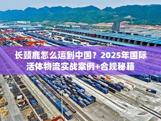 长颈鹿怎么运到中国？2025年国际活体物流实战案例+合规秘籍