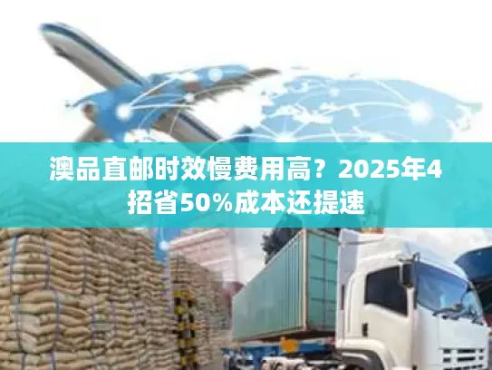 澳品直邮时效慢费用高？2025年4招省50%成本还提速