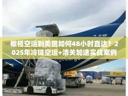橄榄空运到美国如何48小时直达？2025年冷链空运+清关加速实战案例拆解