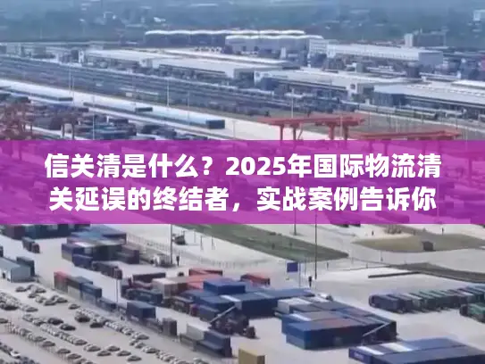 信关清是什么？2025年国际物流清关延误的终结者，实战案例告诉你答案