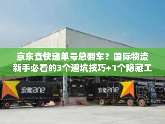 京东查快递单号总翻车？国际物流新手必看的3个避坑技巧+1个隐藏工具