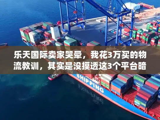乐天国际卖家哭晕，我花3万买的物流教训，其实是没摸透这3个平台暗规则