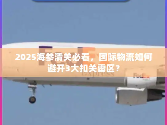 2025海参清关必看，国际物流如何避开3大扣关雷区？