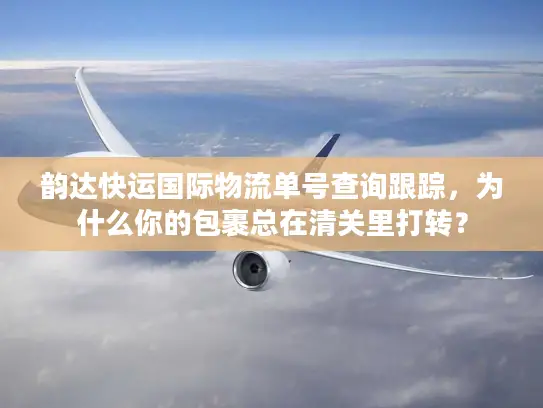 韵达快运国际物流单号查询跟踪，为什么你的包裹总在清关里打转？