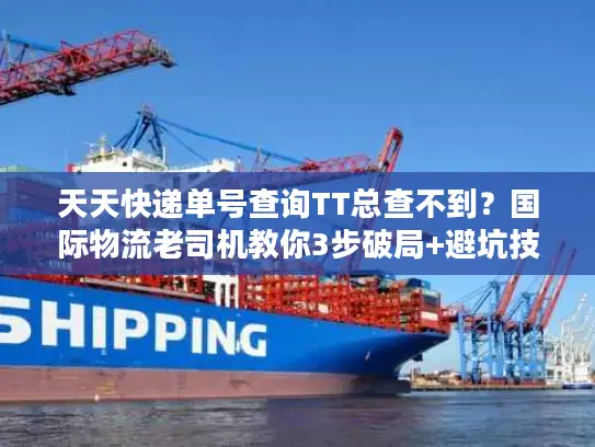 天天快递单号查询TT总查不到？国际物流老司机教你3步破局+避坑技巧