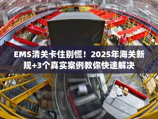 EMS清关卡住别慌！2025年海关新规+3个真实案例教你快速解决