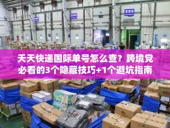 天天快递国际单号怎么查？跨境党必看的3个隐藏技巧+1个避坑指南