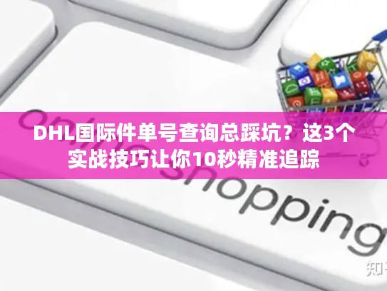 DHL国际件单号查询总踩坑？这3个实战技巧让你10秒精准追踪