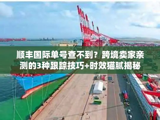 顺丰国际单号查不到？跨境卖家亲测的3种跟踪技巧+时效猫腻揭秘