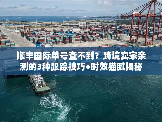 顺丰国际单号查不到？跨境卖家亲测的3种跟踪技巧+时效猫腻揭秘
