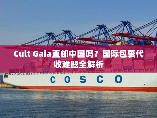 Cult Gaia直邮中国吗？国际包裹代收难题全解析