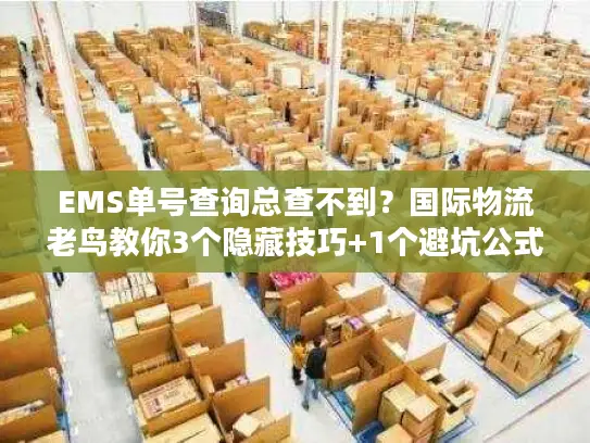 EMS单号查询总查不到？国际物流老鸟教你3个隐藏技巧+1个避坑公式