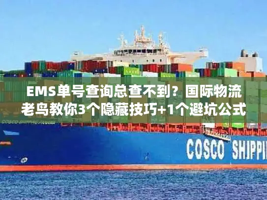 EMS单号查询总查不到？国际物流老鸟教你3个隐藏技巧+1个避坑公式