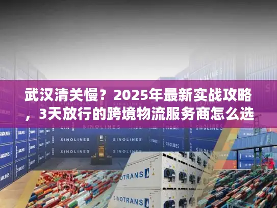 武汉清关慢？2025年最新实战攻略，3天放行的跨境物流服务商怎么选？