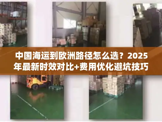 中国海运到欧洲路径怎么选？2025年最新时效对比+费用优化避坑技巧