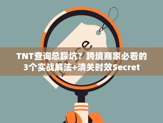TNT查询总踩坑？跨境商家必看的3个实战解法+清关时效Secret